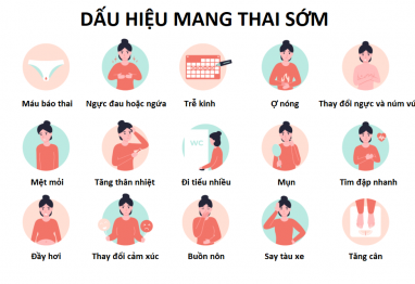 Dấu hiệu mang thai sớm: Nàng đã nhận ra chưa?